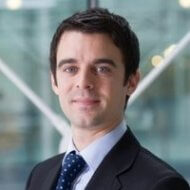deloitte france : partner