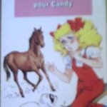 Livremissionetrangepourcandy 1