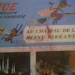 joe au chateau de la reine vibrante 1