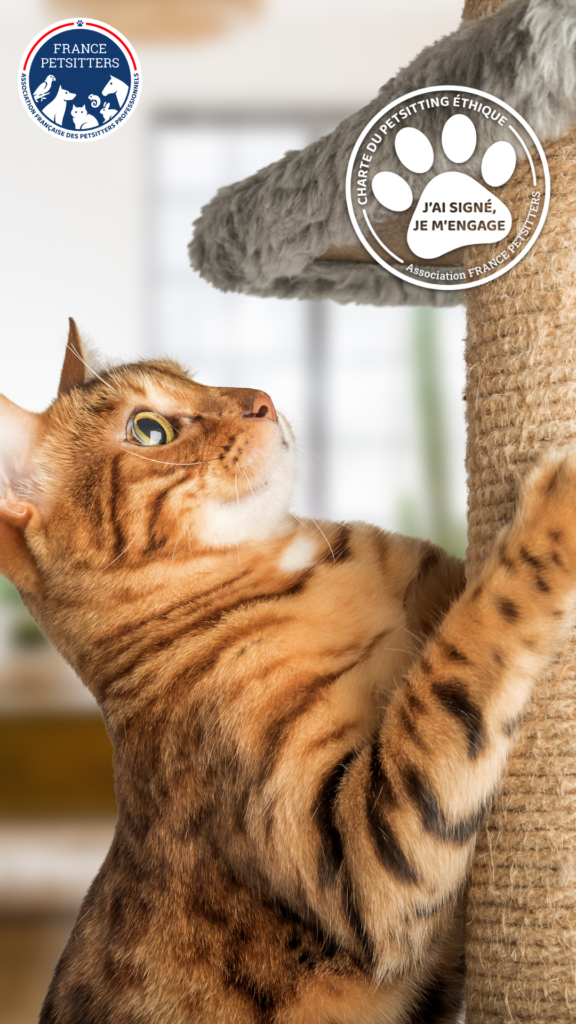 FP Charte Ethique Story Chat