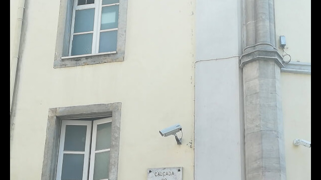 2618483541