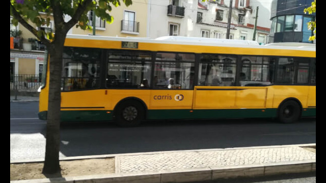 3056634761