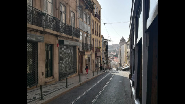 4198520362