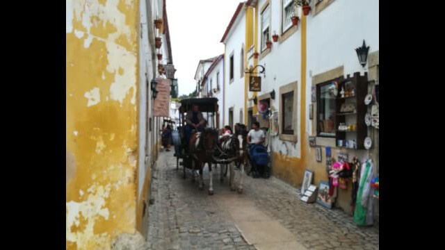 2786527312