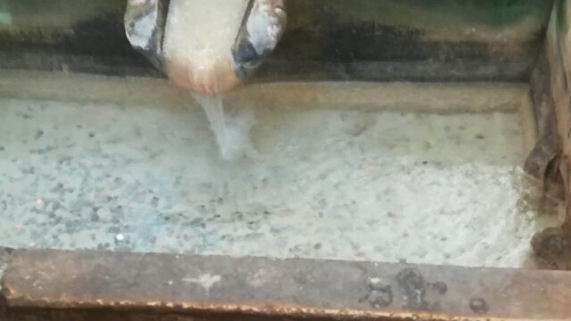 3808035768