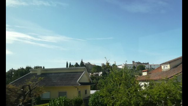 254813558