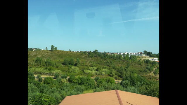 1207596150