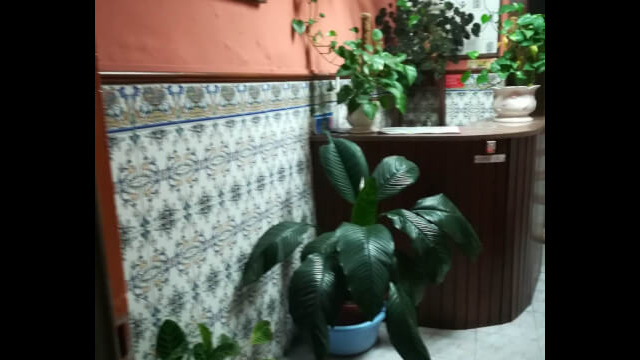 4077419960