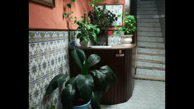 4107694972