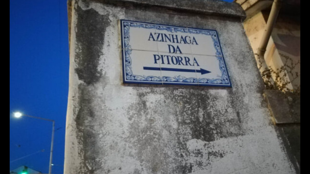 921901445