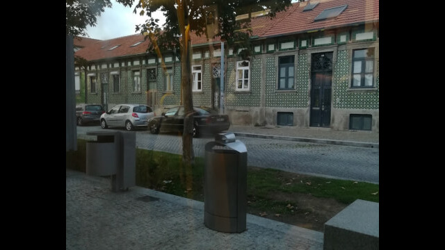 3076176313