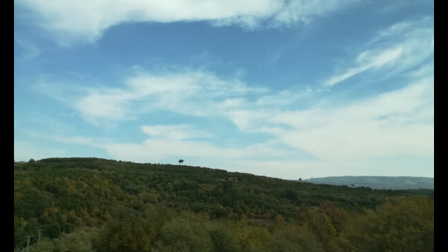 793537665
