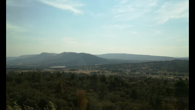 1315907226