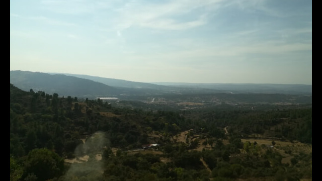 255165152