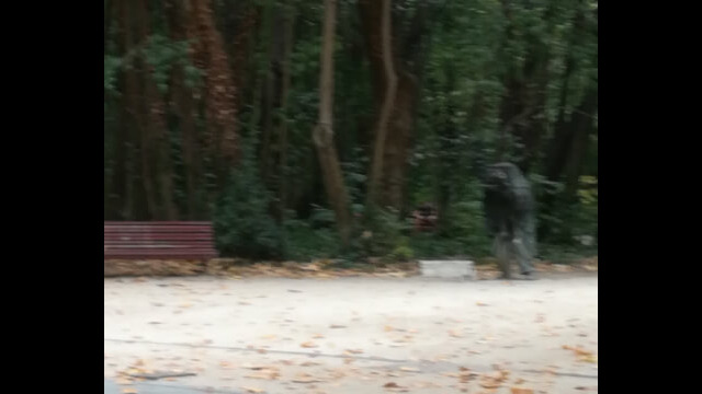 2130092887