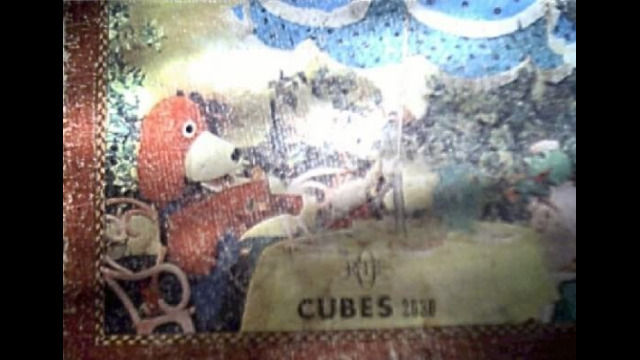 3219111216