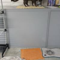 visites de chats à domicile sur Soisy-sous-Montmorency, Eaubonne, Enghien-les-Bains 226 12157987