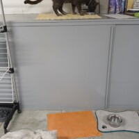 visites de chats à domicile sur Soisy-sous-Montmorency, Eaubonne, Enghien-les-Bains 225 369039954