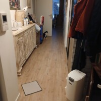visites de chats à domicile sur Soisy-sous-Montmorency, Eaubonne, Enghien-les-Bains 72 2506535041