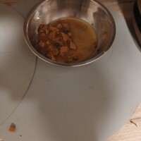 visites de chats à domicile sur Soisy-sous-Montmorency, Eaubonne, Enghien-les-Bains 71 2792066264
