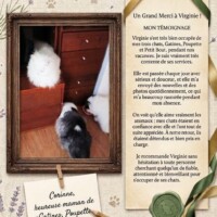 visites de chats à domicile sur Soisy-sous-Montmorency, Eaubonne, Enghien-les-Bains 68