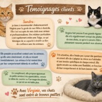 visites de chats à domicile sur Soisy-sous-Montmorency, Eaubonne, Enghien-les-Bains 70