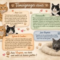 visites de chats à domicile sur Soisy-sous-Montmorency, Eaubonne, Enghien-les-Bains 69